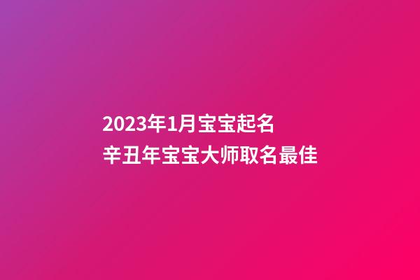 2023年1月宝宝起名 辛丑年宝宝大师取名最佳